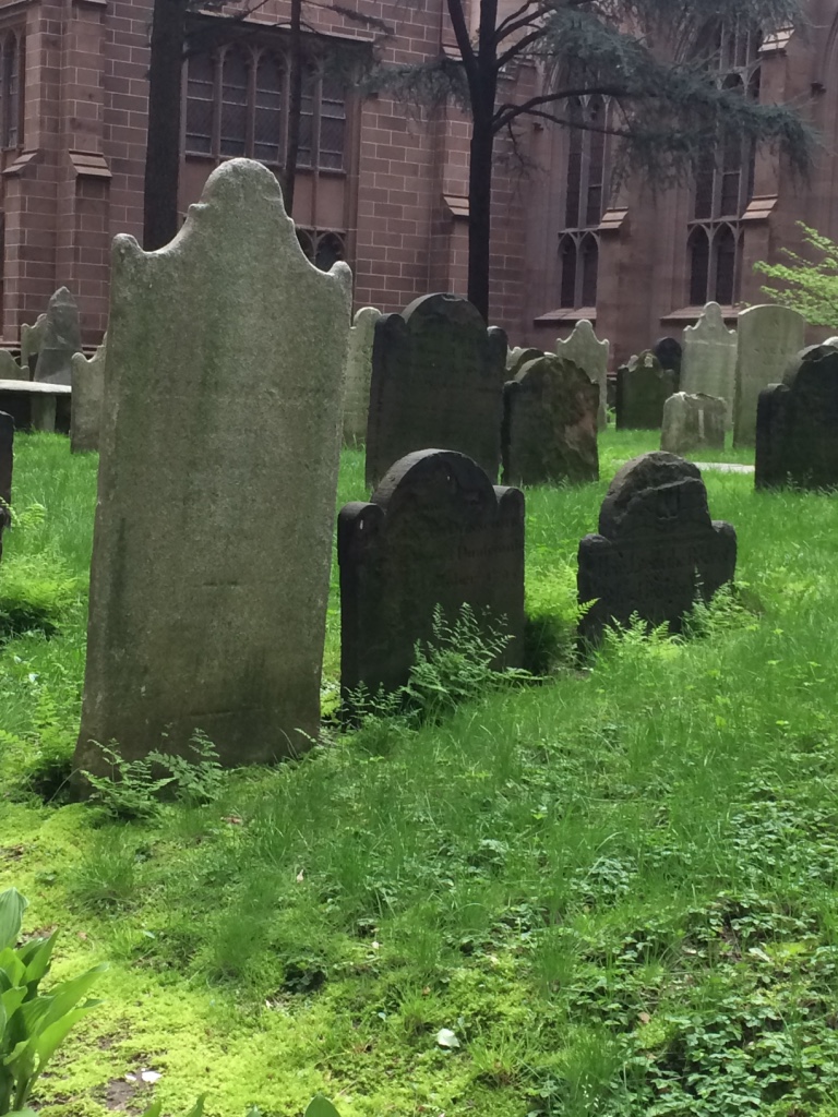 UNADJUSTEDNONRAW_thumb_dd36