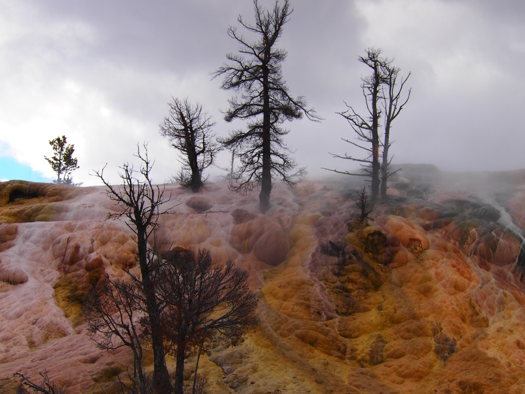 UNADJUSTEDNONRAW_thumb_127b